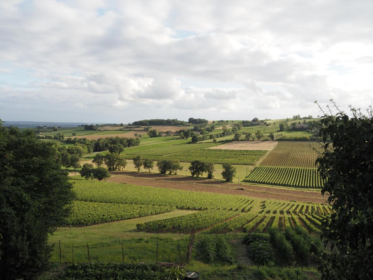 Le Mas de Doat, Gîte de Charme 4 étoiles dans le Triangle d Or proche Gaillac et Albi Senouillac Exterior foto